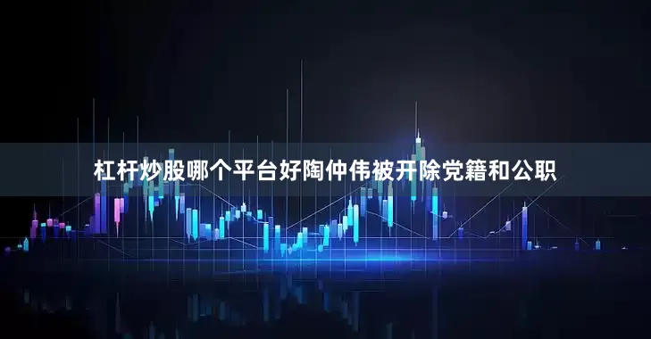 杠杆炒股哪个平台好陶仲伟被开除党籍和公职