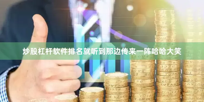 炒股杠杆软件排名就听到那边传来一阵哈哈大笑