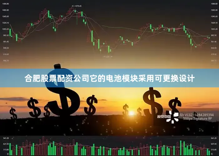 合肥股票配资公司它的电池模块采用可更换设计