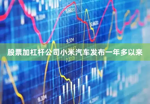 股票加杠杆公司小米汽车发布一年多以来