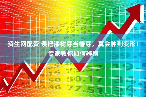 资生网配资 误把漆树芽当椿芽，真会肿到变形！专家教你如何辨别